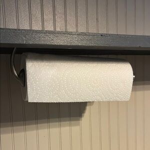 Wall-Mounted Paper Towel Holder Silver w/Screws